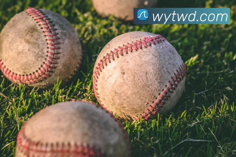 问鼎娱乐平台生态图