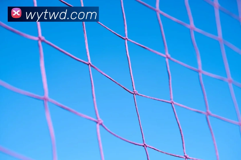 问鼎娱乐全站App